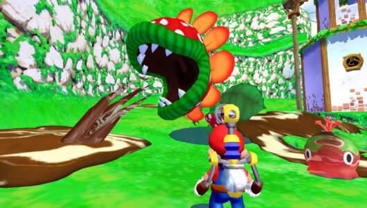 Dolphin Nintendo super mario sunshine
