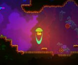 Lone Fungus