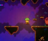 Lone Fungus