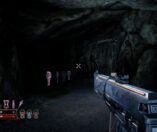Bloodhound