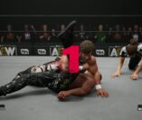 AEW: Fight Forever