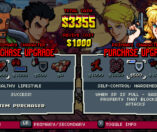Double Dragon Gaiden: Rise of the Dragons