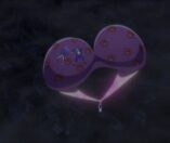 Eternights