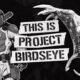 Project Birdseye