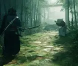 Rise of the Ronin