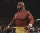 WWE 2K24