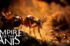 Empire of the Ants: alla scoperta di un nuovo trailer fotorealistico