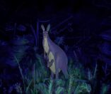 Animal Well
