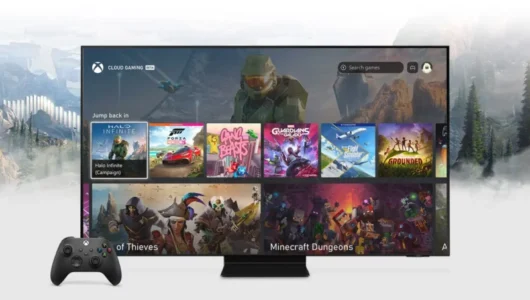 Microsoft, la (Fire) TV e i giovani - Speciale