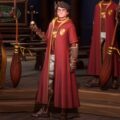 Harry Potter: Campioni di Quidditch Video