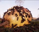 Empire of the Ants