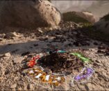 Empire of the Ants