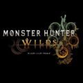 Monster Hunter Wilds Immagini