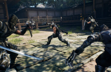 Ninja Gaiden 2 Black