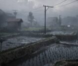 Silent Hill f