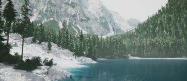 Lushfoil Photography Sim