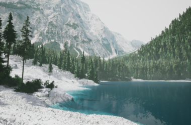 Lushfoil Photography Sim