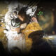 Killer Inn: annunciata la closed beta su Steam