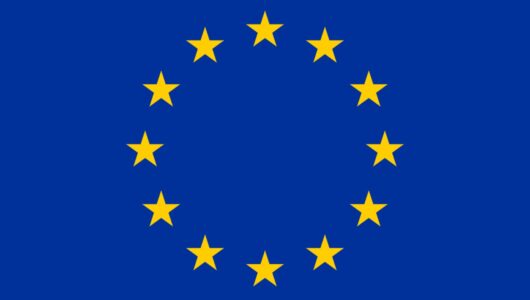 Stop Killing Games incassa il supporto del vicepresidente del Parlamento UE