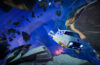 Bohemia Interactive presenta lo sparatutto spaziale Cosmo Tales